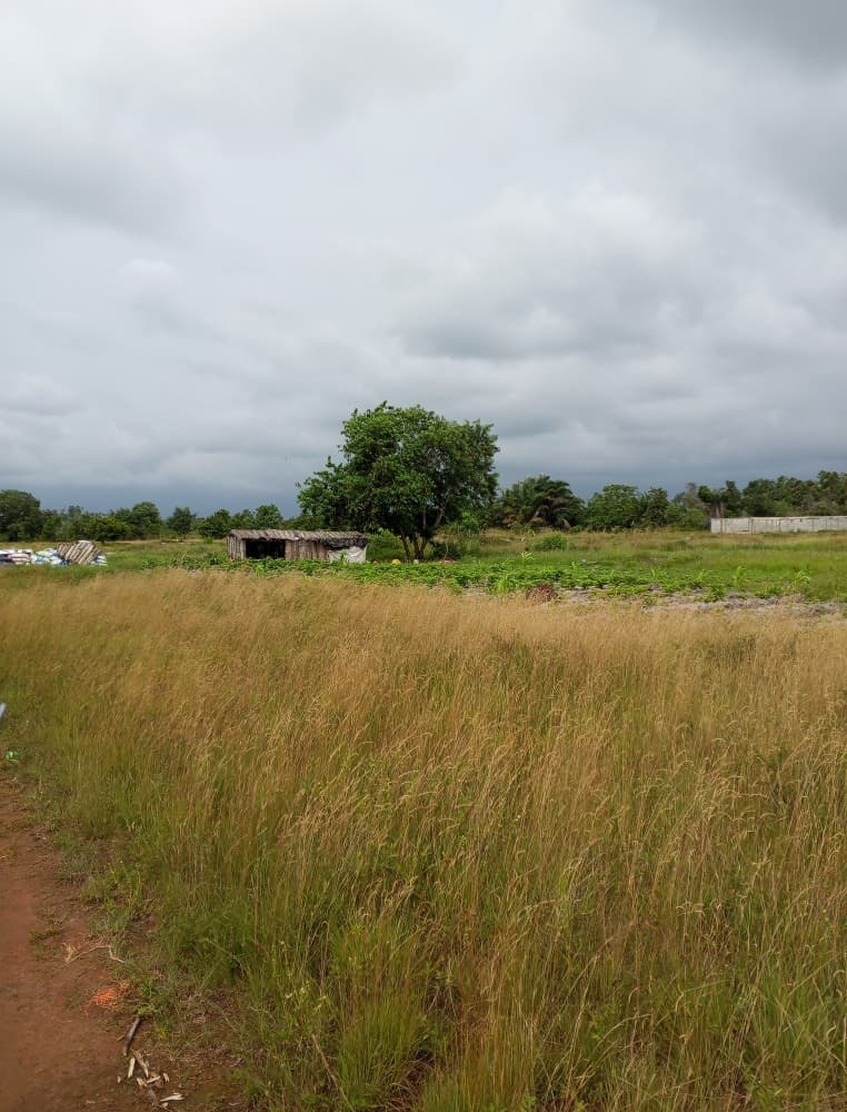 TERRAIN 10 LOTS DE 500m2 A ASSINIE KM 16